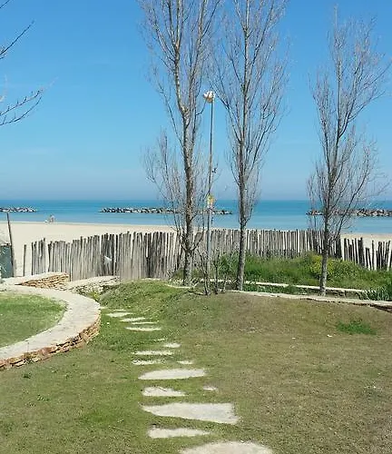 酒店 大陆酒店 3*